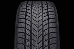 195/55R20 Gripmax SureGrip Pro Winter Friktion