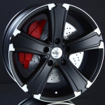 SPATH SP42H-6 BLACK LIP POLISH 9X20 i gruppen FLGAR / ALUMINIUMFLGAR hos Svenska Gummihuset AB (A201396L90SP42BLLIP671)
