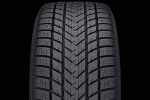 285/35R22 Gripmax SureGrip Pro Winter Friktion i gruppen DÄCK / VINTERDÄCK FRIKTION hos Svenska Gummihuset AB (F2228535GRISURGRWIPR)